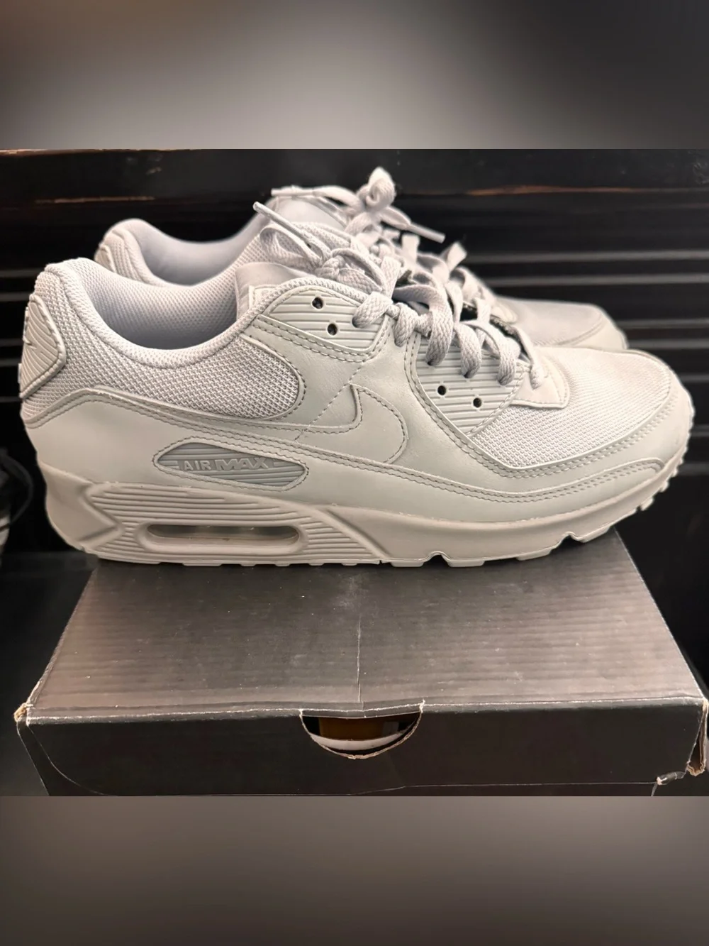 Nike Air Max 90 Sneakers in Light Grey